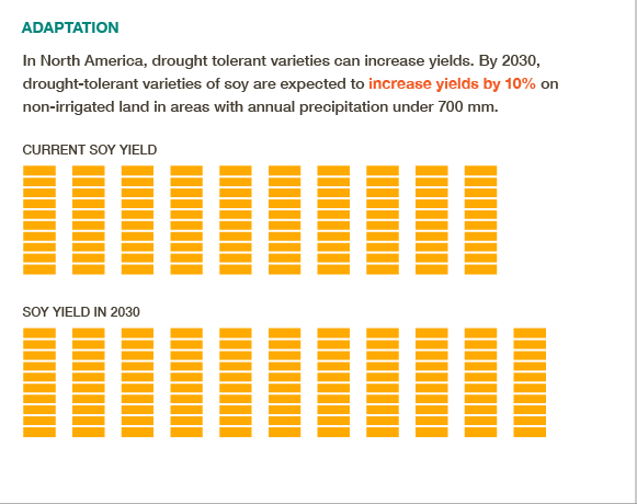 Drought tolerant soy varieties could boost yields 10% in parts of N. America. #BigFacts via @cgiarclimate