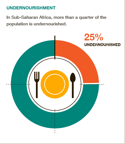 One in four people in sub-Saharan Africa is undernourished #BigFacts via @cgiarclimate