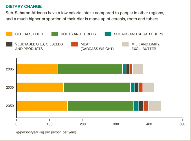 Cereals, roots and tubers supply 80% of a person's daily calories in sub-Saharan African via @cgiarclimate