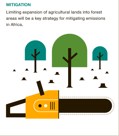 Slowing large-scale deforestation in Africa would help reduce emissions. #BigFacts via @cgiarclimate