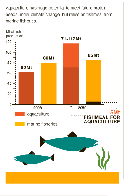 Can aquaculture meet future protein needs under climate change? Get the #BigFacts via @cgiarclimate