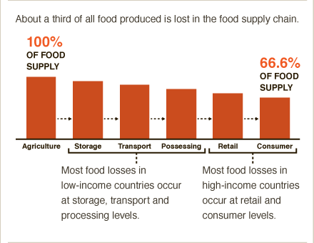 What a waste! 1/3 of food lost as it trickles through food supply chain #BigFacts via @cgiarclimate 