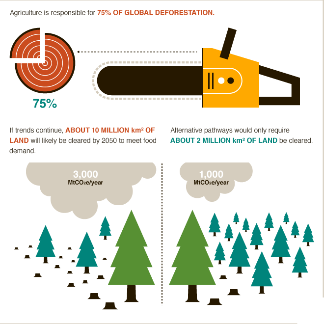 Food vs forests? Agriculture causes nearly 75% of global deforestation #BigFacts via @cgiarclimate 
