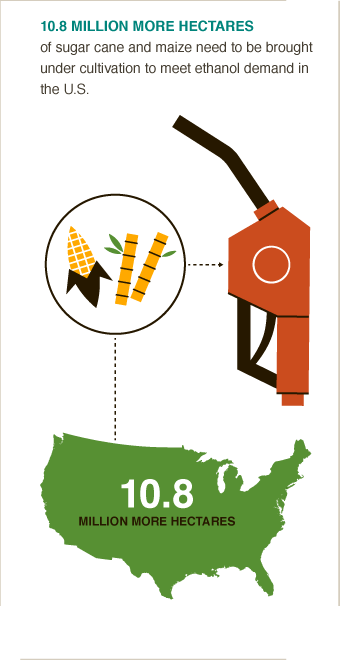 US ethanol demand will require 10.8m new hectares of sugar cane & maize. #BigFacts via @cgiarclimate 