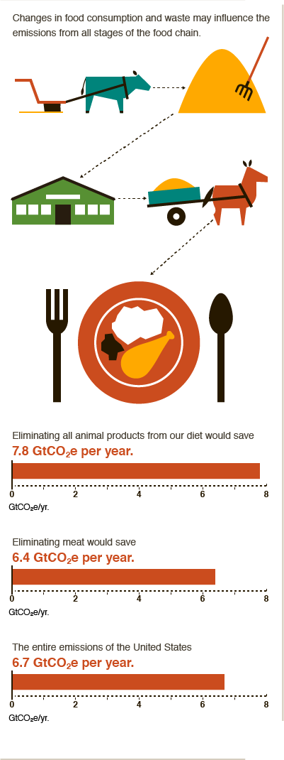 Changing diets, cutting food waste can make the food chain more climate-friendly! #BigFacts via @cgiarclimate 