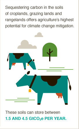 How can changing diets help fight climate change? Get the #BigFacts via @cgiarclimate