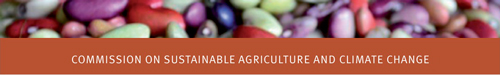 Commission on Sustainable Agriculture and Climate Change
