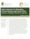 Index insurance for managing climate risk