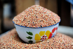 Photos illustrating key actions for achieving food security in the face of climate change