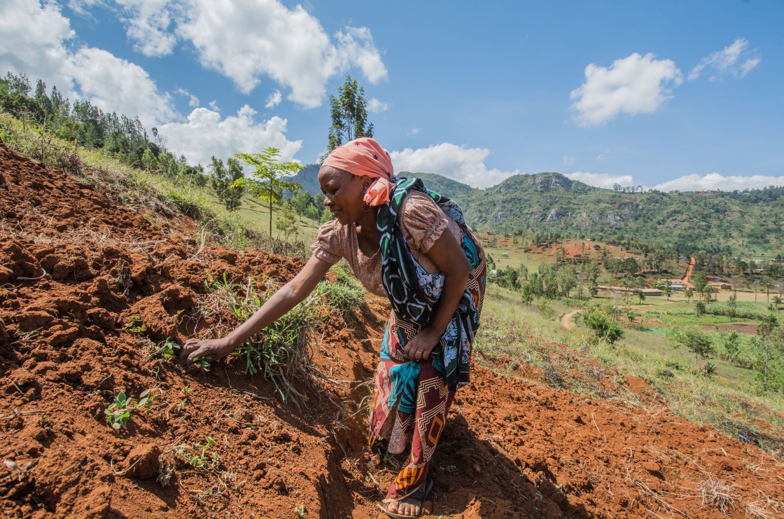 down-to-earth-data-ccafs-cgiar-research-program-on-climate-change