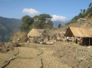  Photo: Transhumance system in Nepal Himalaya increasingly affected by changing climate.