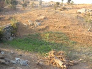  Photo: Conservation of water through communal management of pasture land in Rajasthan