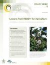 Lessons from REDD+ for Agriculture Policy Brief