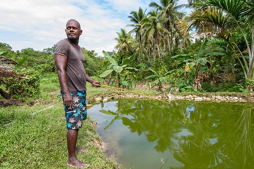 Aquaculture in the Solomon islands may provide a climate-resilient source of food and income. Photo: F. Milovac (WorldFish)