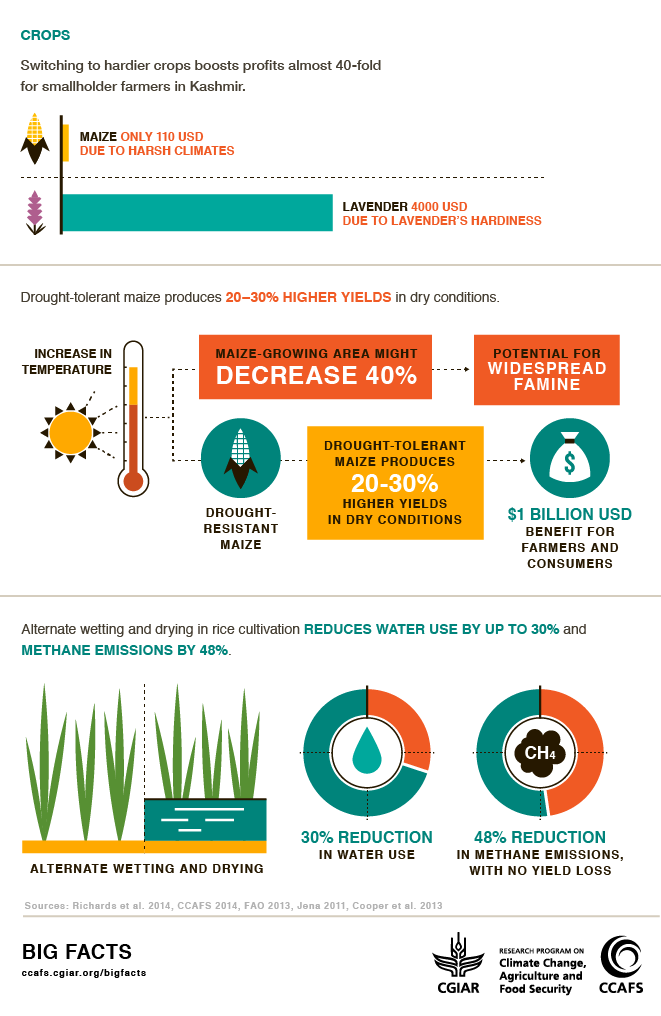 https://ccafs.cgiar.org/bigfacts/img/downloadables/csSubthemes/crops.png