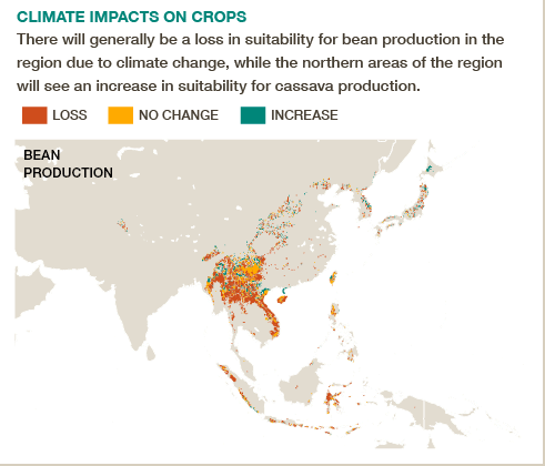 How will climate change impact crops in East Asia? Get the #BigFacts via @cgiarclimate
