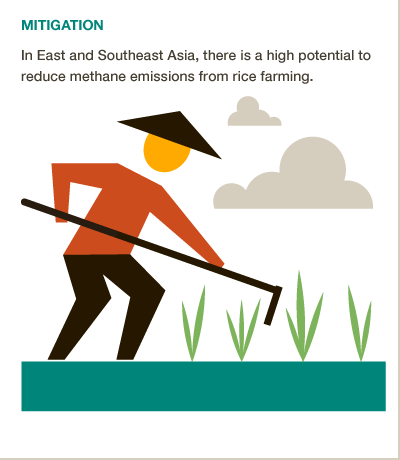 More sustainable rice farming is key to climate mitigation in East Asia. #BigFacts via @cgiarclimate