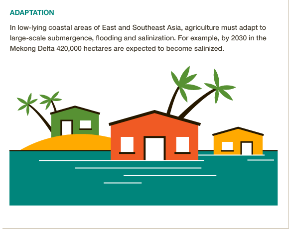 Coastal parts of East Asia must prepare for sea level rise & flooding. #BigFacts via @cgiarclimate