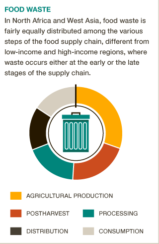 Food waste in N. Africa/ W. Asia occurs throughout the whole food chain. #BigFacts via @cgiarclimate
