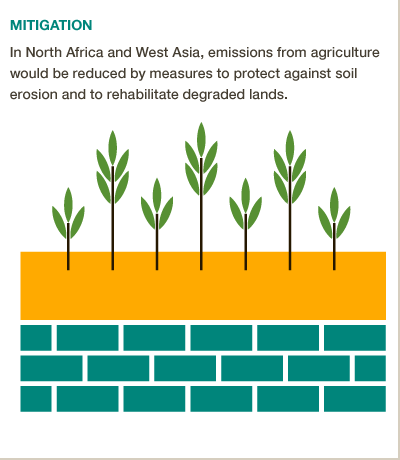 Restoring degraded land in N. Africa/ W. Asia key to reducing emissions. #BigFacts via @cgiarclimate