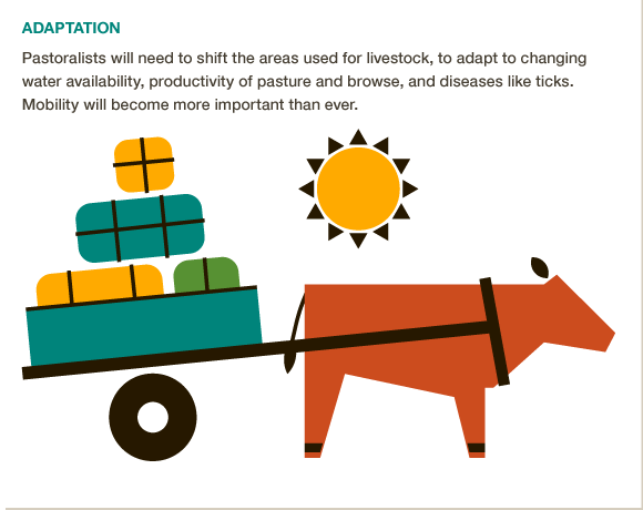 Pastoralists in N. Africa/ W. Asia may need to migrate to cope w climate variability. #BigFacts via @cgiarclimate