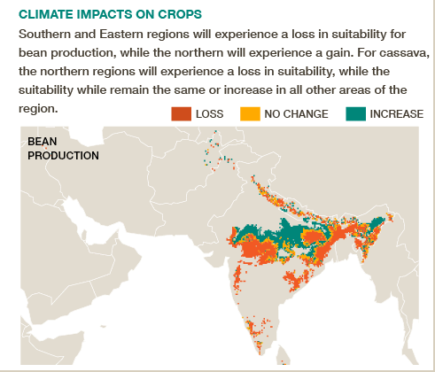 How will climate change impact crops in South Asia? Get the #BigFacts via @cgiarclimate