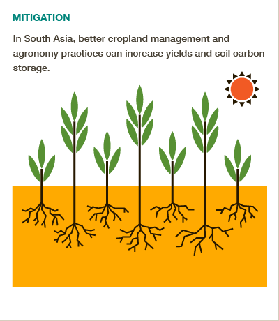 Improved agronomic practices in South Asia could boost soil carbon storage #BigFacts via @cgiarclimate