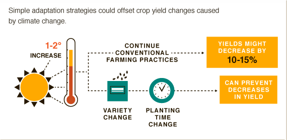 Infographic: Simple ways to avoid a 15% drop in crop yields. #BigFacts via @cgiarclimate 