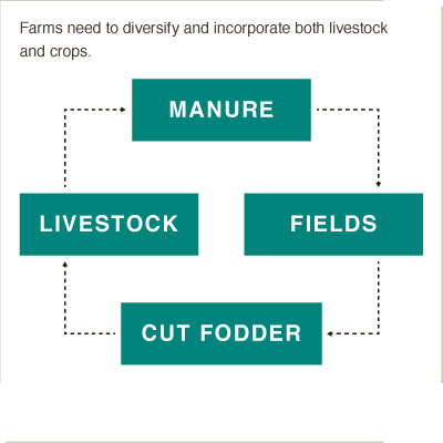 Farming systems that mix livestock & crops more resilient to climate change #BigFacts via @cgiarclimate