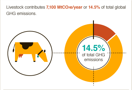 #DidYouKnow up to 14.5% of global GHG emissions come from livestock? #BigFacts via @cgiarclimate 