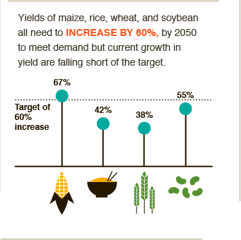 60% increase in staple crop yields needed to meet food demand in 2050. Current yield falls short #BigFacts via @cgiarclimate