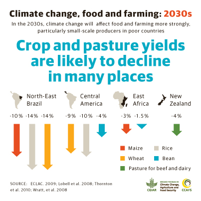 Crop and pasture yields likely to decline
