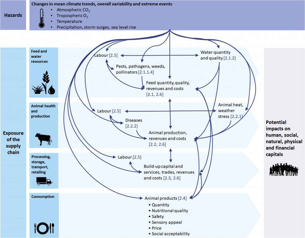 Figure 2. Potential impacts of climate-related hazards on the livestock land-based food supply chain.