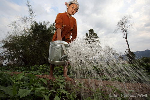 By 2050, climate change will increase drought and amplify water stress. Photo: J