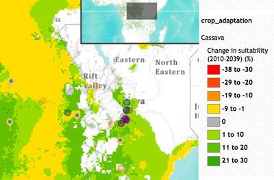 Suitability changes of cassava in Kiaranga village, Kenya. Click to explore this map.