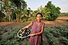 Nepalese woman farmer. Photo: N. Palmer (CIAT) Nepalese woman farmer. Photo: N. Palmer (CIAT)