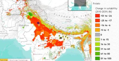 In the Northwest of India, the data shows that climatic suitability for potatoes will decrease in the future. Click to explore this map.