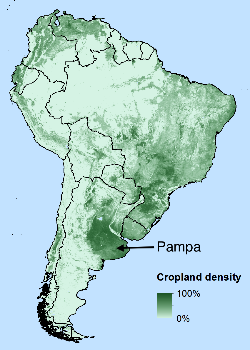 South American croplands: 1st map