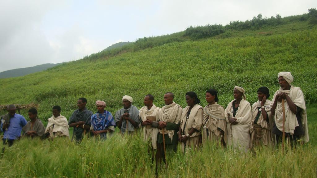 Ethiopian national policy is targeted towards land restoration and low-carbon development