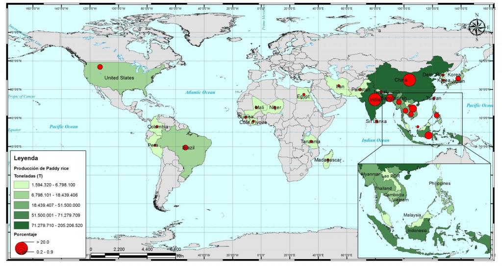 Mayores productores de arroz a nivel mundial. Fuente: FAOSTAT, 2013