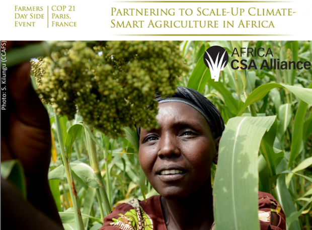 Partnering to scale-up climate-smart agriculture in Africa: from policy to tangible impact