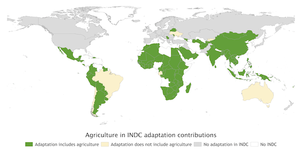 Agriculture in INDC adaptation contributions