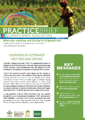 climate-smart agriculture practice brief alternate wetting and drying in irrigated rice
