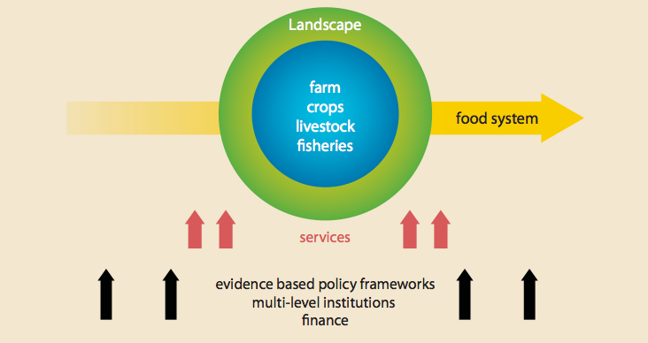 The main elements of climate-smart agriculture