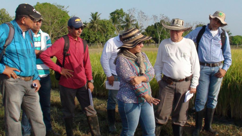 Durante las jornadas de las MTA también se realizan visitas a campo para conocer cómo se está verificando en parcelas experimentales, la validez de las recomendaciones surgidas en los trabajos de la Mesa. Foto: E. Diaz