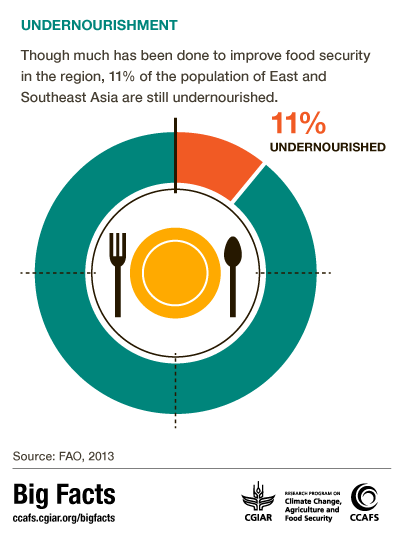 Big Facts: Undernourishment in East and Southeast Asia