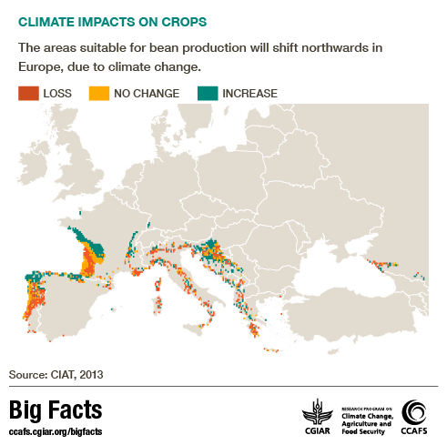 CCAFS Big Facts climate change impact crop production in Europe