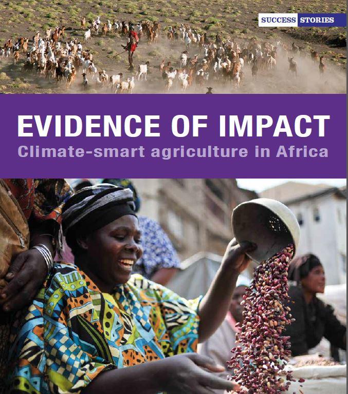  Evidence of impact: Climate-smart agriculture in Africa