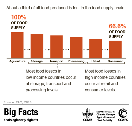 Food Waste along the food supply chain CCAFS Big Facts