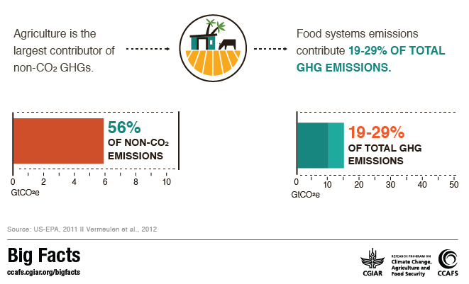 Big Facts on Food Emissions